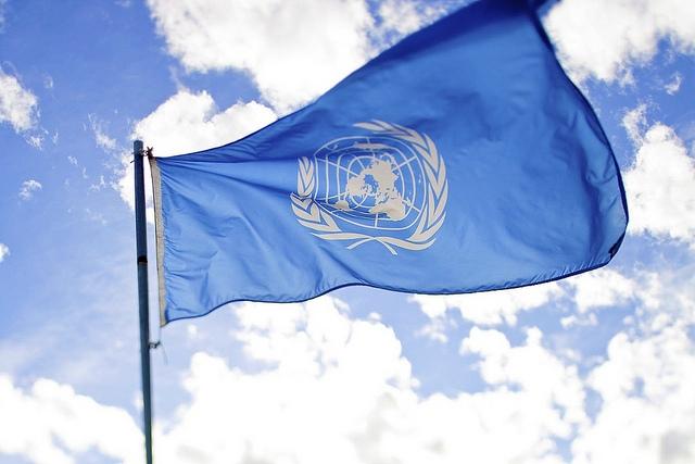 FN's flagge