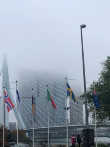 Flag i tågen