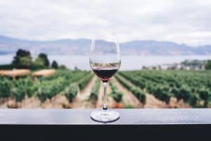 kym-ellis-wine-fields-red-glass