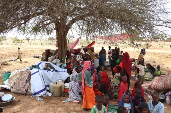 Chad-refugees seek shelter under tree