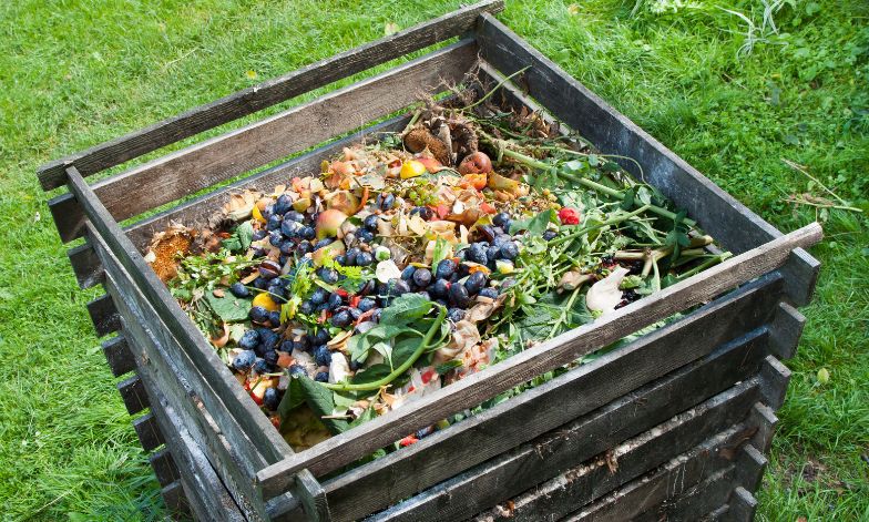 Kompost med grøntsager og organisk affald