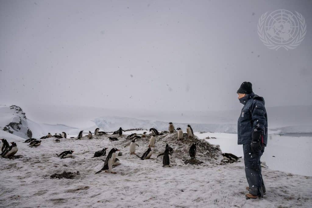 FN generalsekretæren står på isen i Antarktis blandt pingviner