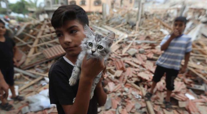 En femårig dreng holder sin kat op midt i ødelæggelserne af sit hjem i Gaza