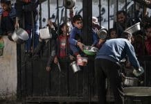 Børn venter på at få serveret mad i Rafah i den sydlige del af Gazastriben. Foto: UNICEF/Abed Zagout