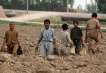 παιδιά σε χωράφια, Αφγανιστάν