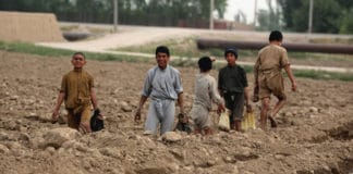 παιδιά σε χωράφια, Αφγανιστάν
