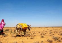 ξηρασίες, Σομαλία, ΟΗΕ