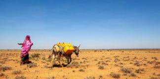 ξηρασίες, Σομαλία, ΟΗΕ
