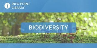 UNRIC Library backgrounder: Biodiversity