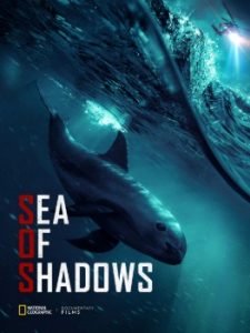 Sea of Shadows film poster