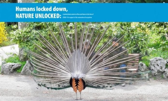 UNECE Nature Unlocked photo competition