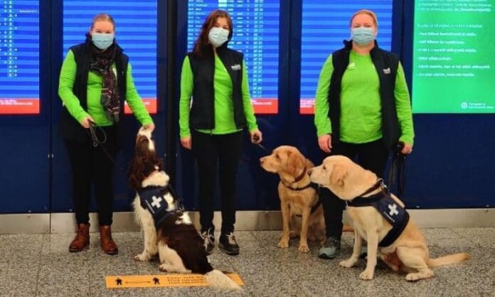 Sniffer dog at Finland airport