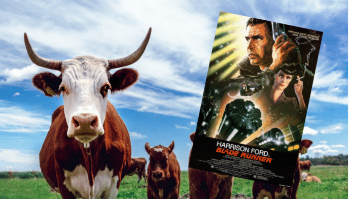blade runner film with cows