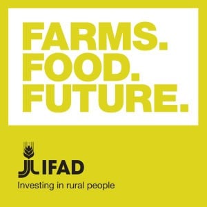 IFAD podcast banner