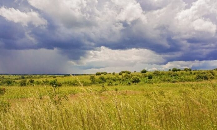 Zambia farmland