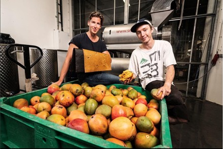 mangoes in crate ready for use, © Marc Blommaert