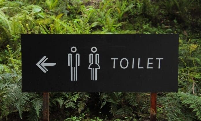 toilet signpost in a forest