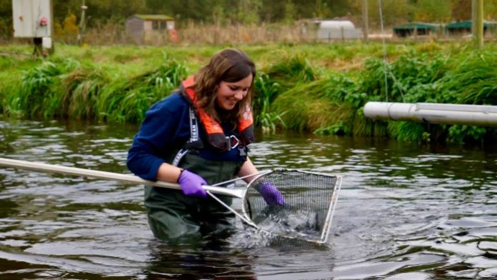 Valentina Romano, Senior Fish Health Inspector, Marine Scotland Science
