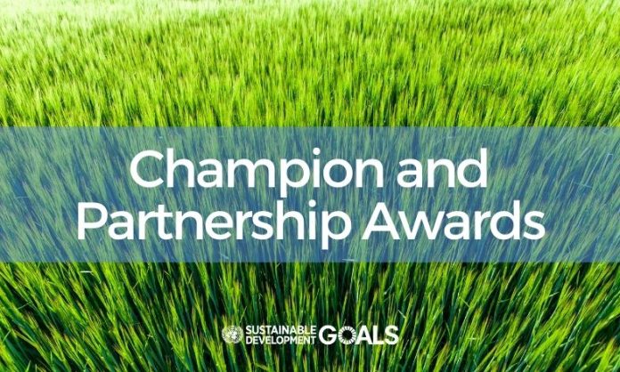 Champion and Partnership Award banner card