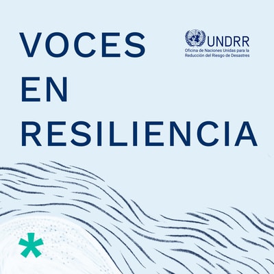 UNDRR Voices of Resilience banner
