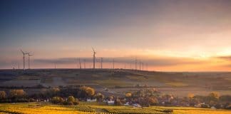 Windturbines in a field