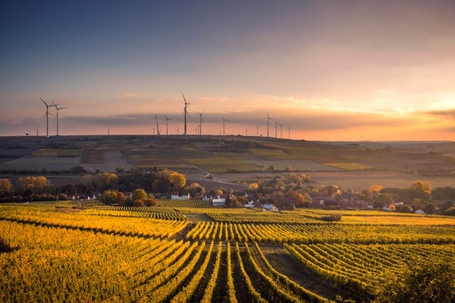 Windturbines in a field