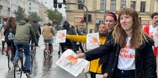 volunteers campaigning