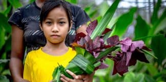 Indigenous person holding flowers