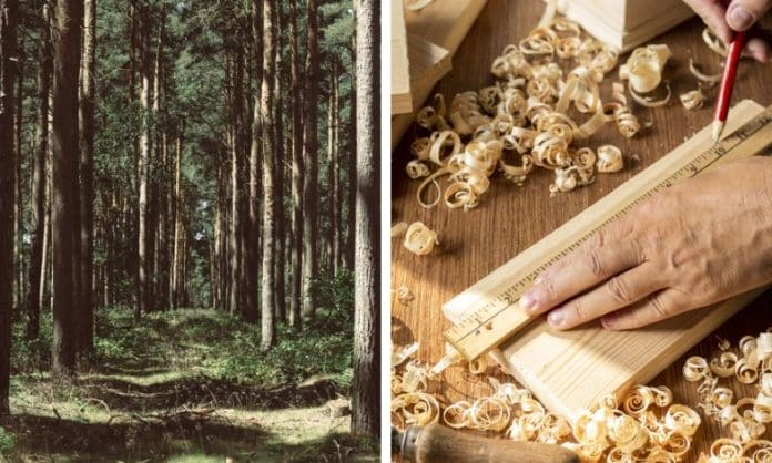 Two photos of a woodland and of woodwork