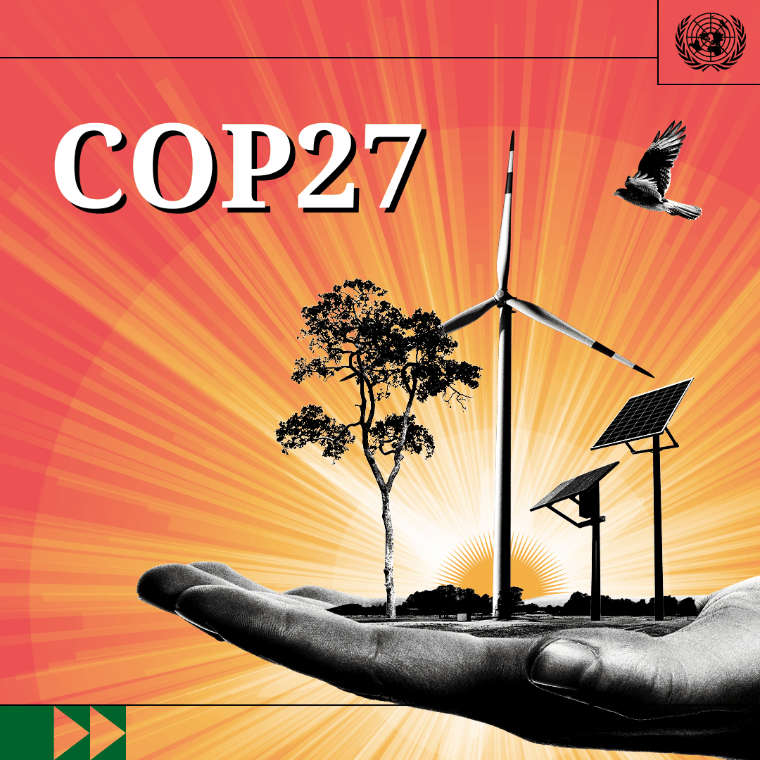 DGC COP27 poster to share