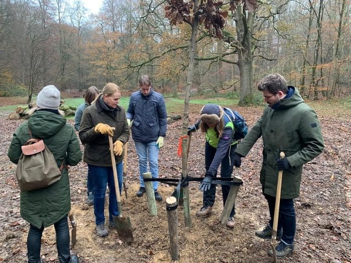UN and EC staff at Arboretum of Tervuren planting trees
