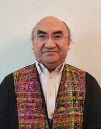 José Francisco Cali Tzay, Special Rapporteur on the rights of indigenous peoples