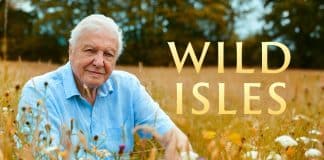 Sir David Attenborough in a promotional poster for the programme Wild Isles