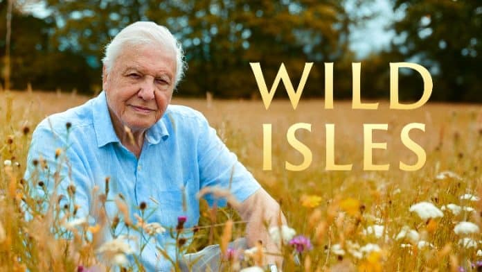 Sir David Attenborough in a promotional poster for the programme Wild Isles