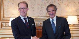 Minister of Foreign Affairs of Sweden Tobias Billstrom met with IAEA Director General Rafael Mariano Grossi in Stockholm.