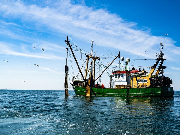 Un pesquero en el mar del Norte. Foto: Paul Einerhand/unsplash