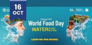 World Food Day Brussels 2023 poster