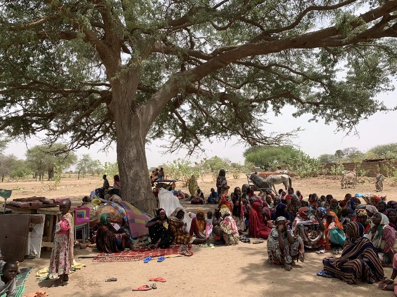Refugees fleeing conflict in Sudan seek shelter under a tree in the village of Koufroun, in neighbouring Chad.