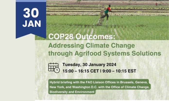 COP28 Outcomes: Addressing climate change through agrifood systems solutions - FAO event banner
