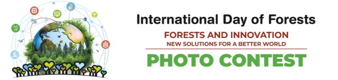 International Day of Forests photo contest banner