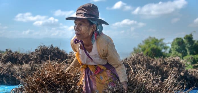 A woman in a field of crop