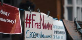 Sign reading "Free Navalyn" from a protest