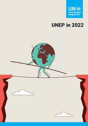UNEP Annual Report cover