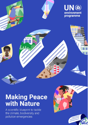 Making Peace With Nature report cover