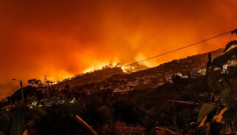 A wildfire in Portugal in 2016.