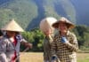 Mujeres que trabajan en los arrozales