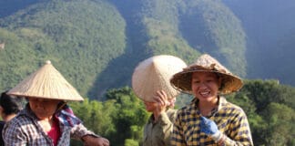 Mujeres que trabajan en los arrozales