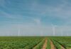 Turbinas de viento en una granja en el parque eólico de Roscoe, Estados Unidos