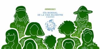 Afiche Día Mundial de la Vida Silvestre