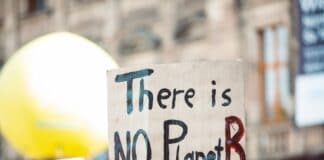 Cartel "There is no planet B"